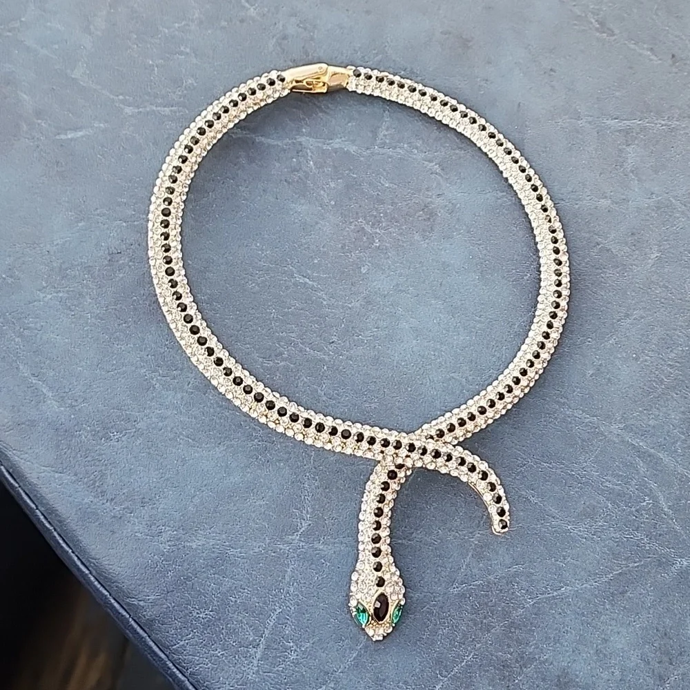 Snake 🐍 Chocker - Picture 8 of 12